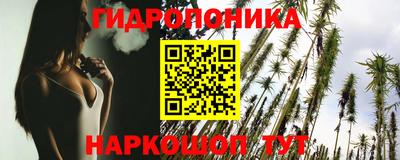 крисы Волгодонск