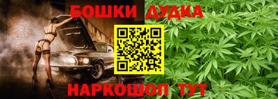 крисы Волгодонск