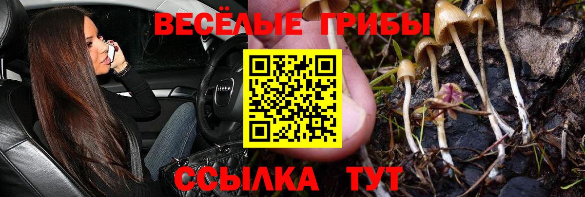 Рассказово  Галлюциногенные грибы мухоморы  Вход с VPN 